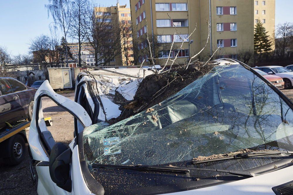 W związku z wichurą służby interweniowały 121 razy, w tym raz na morzu