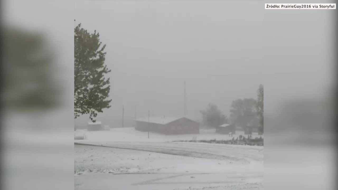 Do Stanów Zjednoczonych zima przyszła już na początku października. Zawieje i zamiecie śnieżne nawiedziły Dakotę Północną