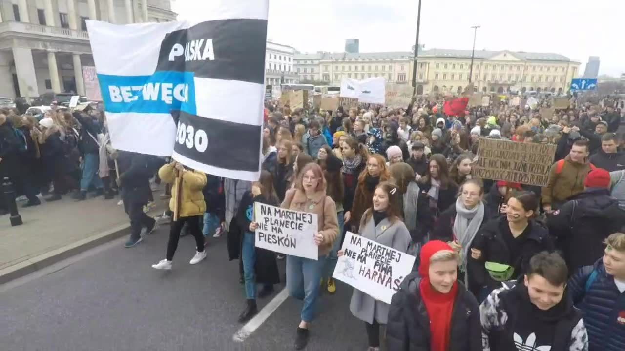 Młodzieżowy Strajk Klimatyczny w Polsce