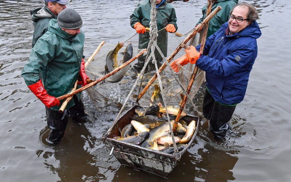 Gróbarczyk: polski karp jest ekologiczny