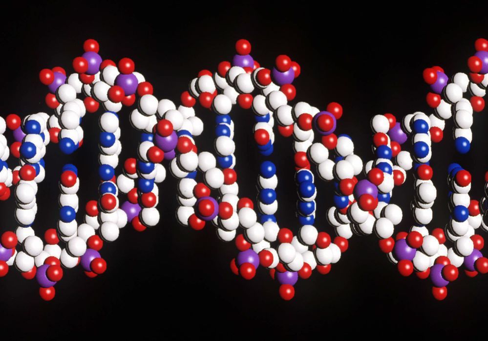 DNA decyduje o zdrowiu w niewielkim stopniu