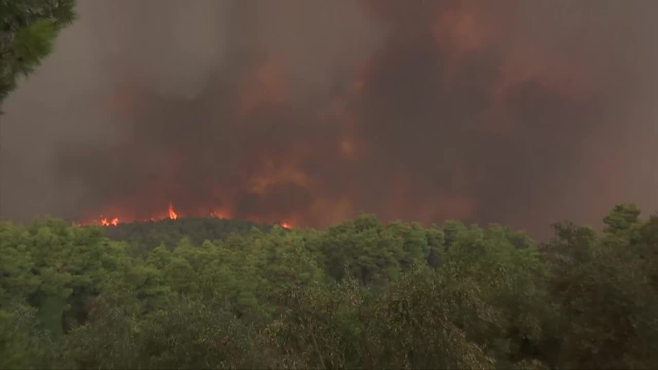 Pożary lasów w pobliżu Aten. Dym dotarł do stolicy Grecji