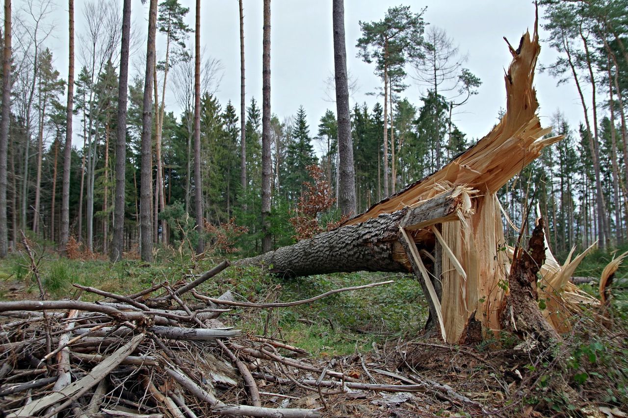 Ponad 400 interwencji strażaków po burzach w zachodniopomorskim