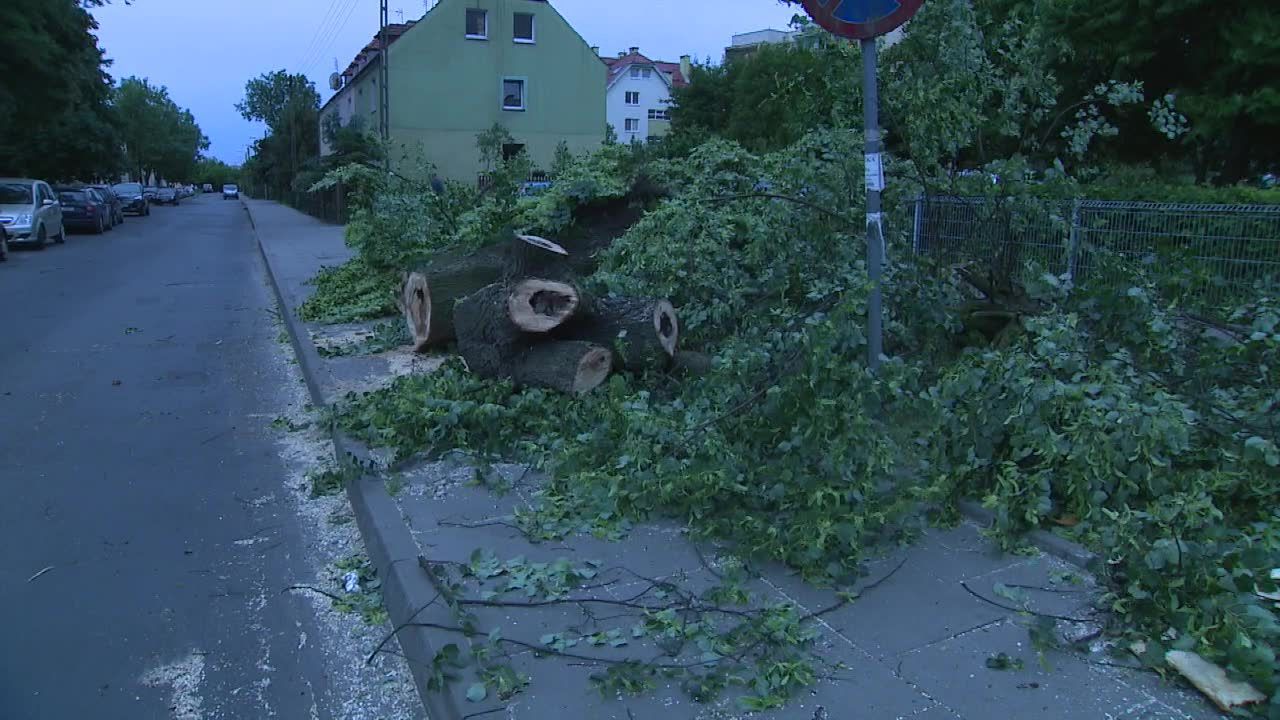 Połamane drzewa, zniszczone samochody i ponad 100 interwencji strażaków po przejściu wichury w Szczecinie