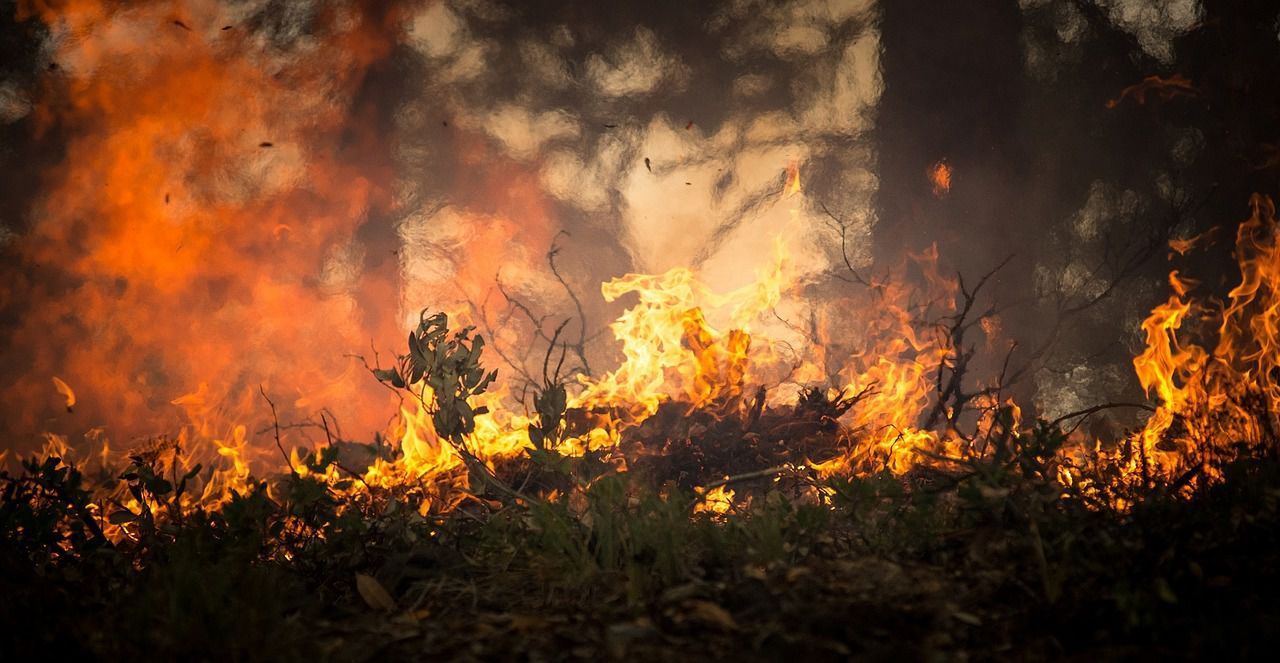 Pożar wysypiska śmieci w Jastrzębiu Zdroju