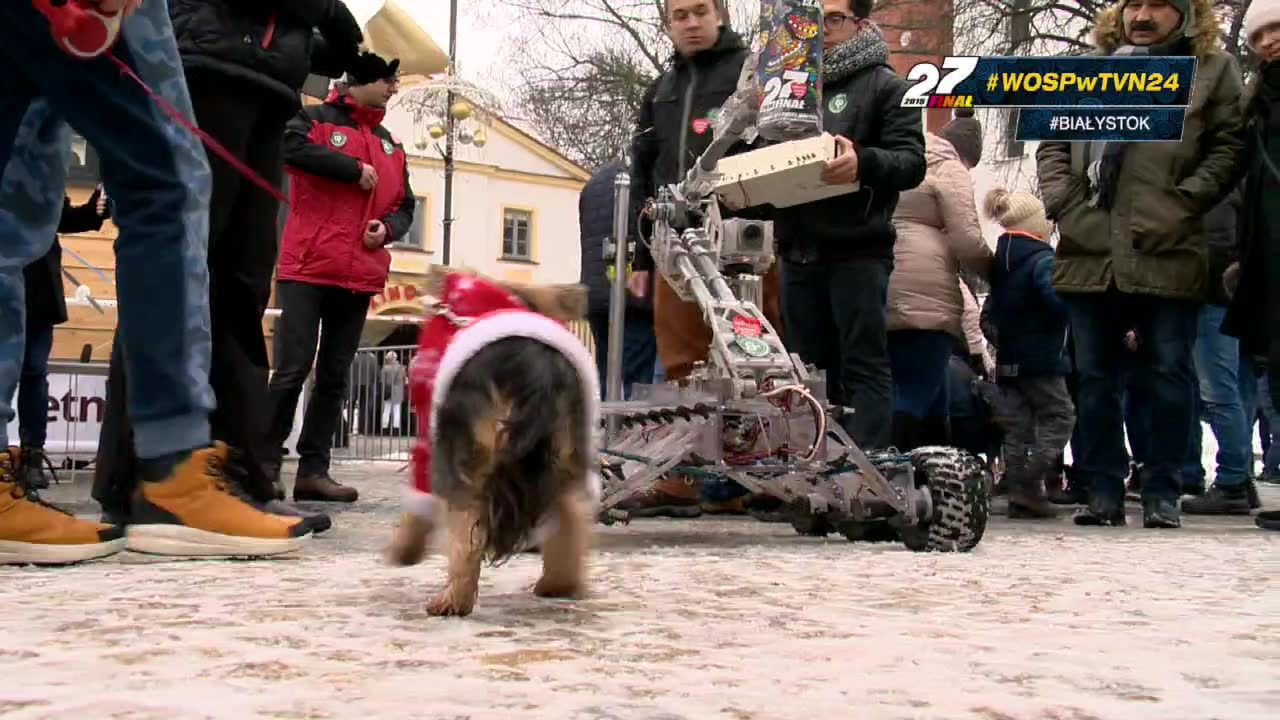 Marsjański łazik wolontariuszem WOŚP. Wyjątkowa akcja studentów z Białegostoku