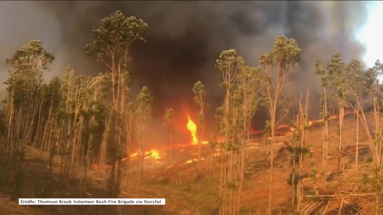 Ogniste tornado nagrane w Australii przez strażaka ochotnika