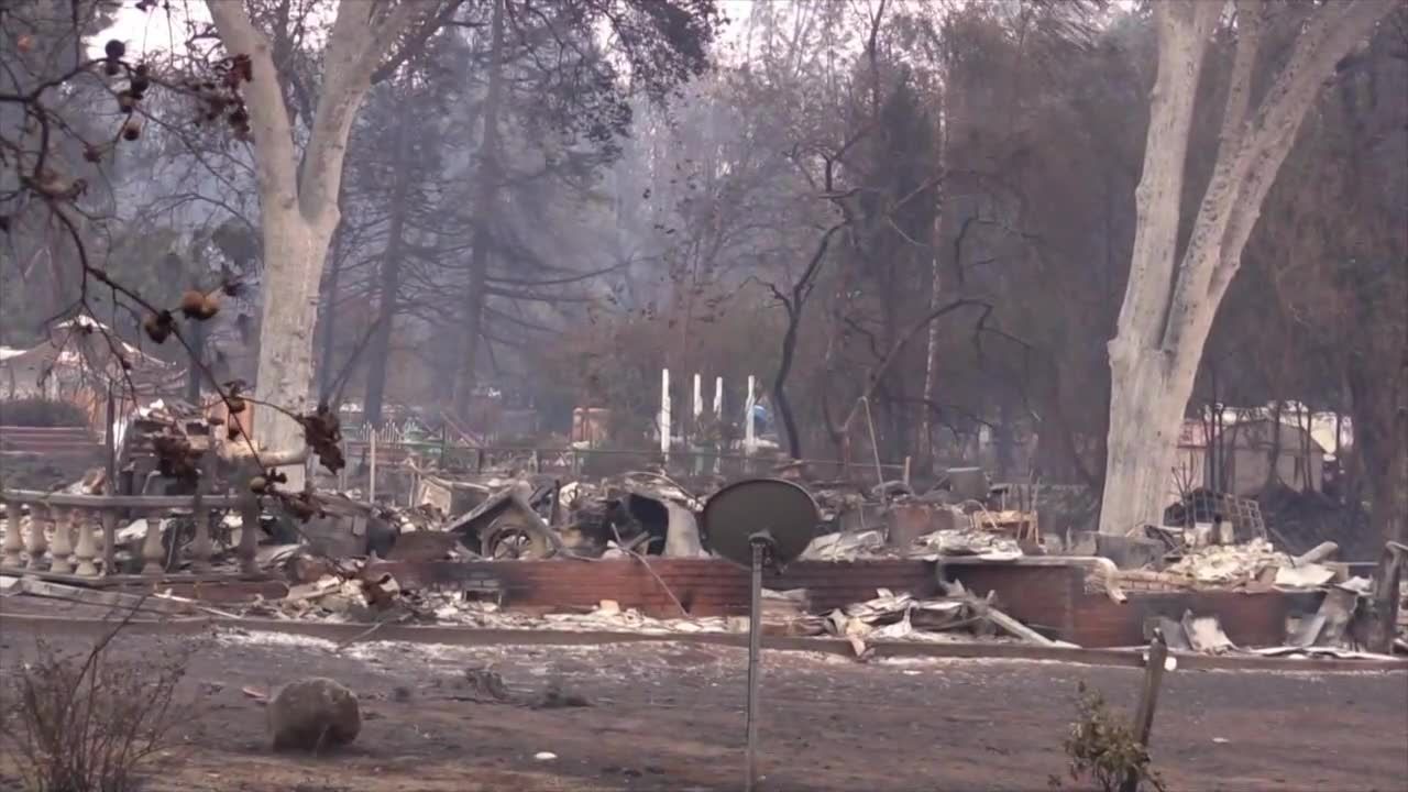 31 ofiar, blisko 230 zaginionych. Tragiczny bilans pożarów w Kalifornii