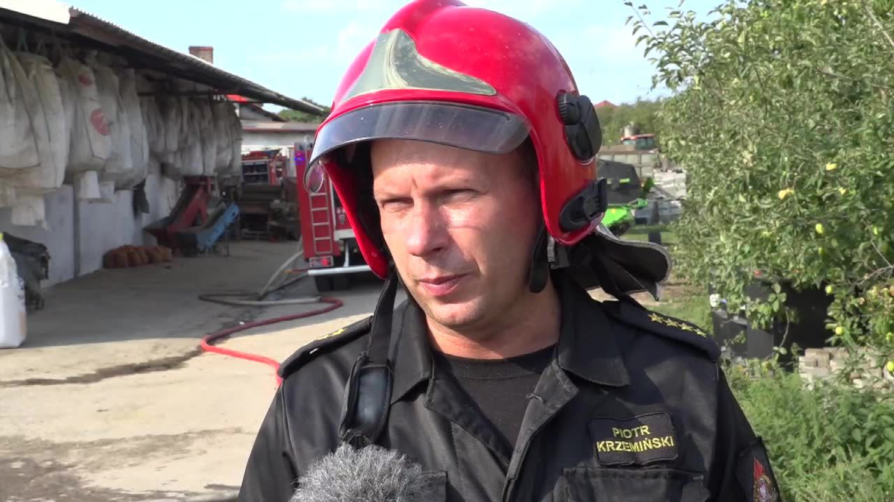 Tragiczny pożar obory w Lęborku. Spłonęło ponad 500 zwierząt