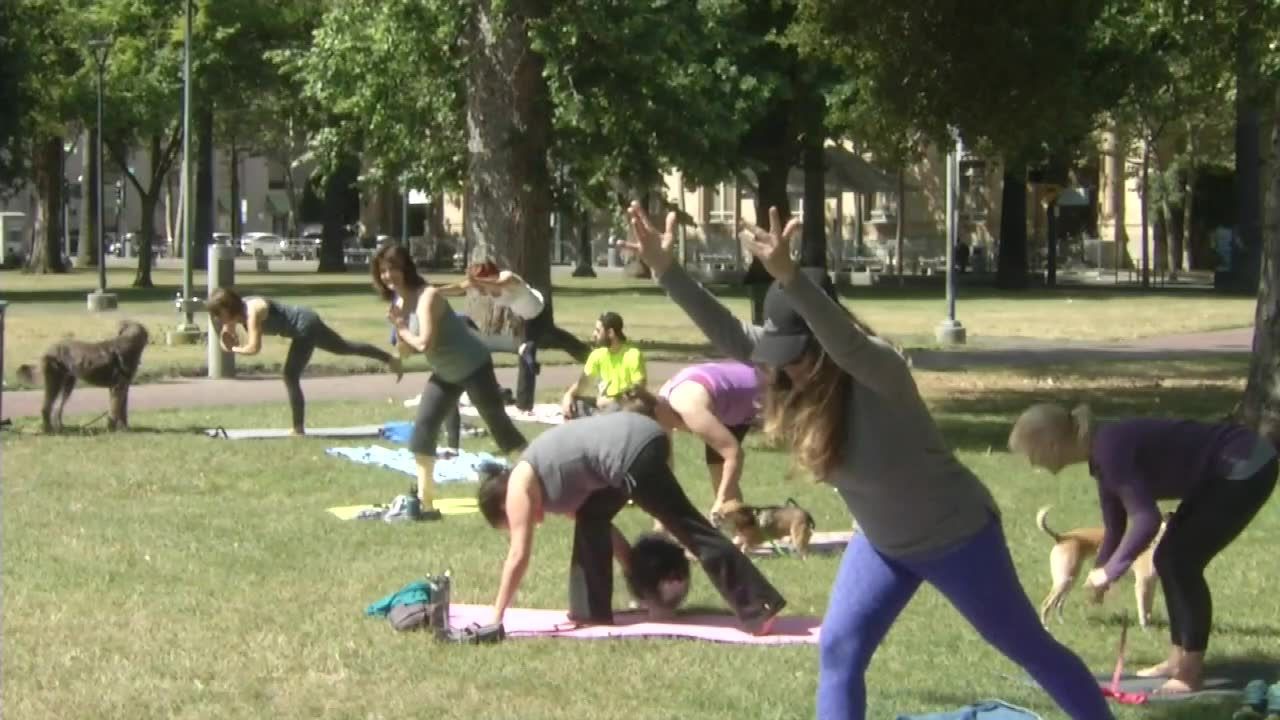 Joga z psami w Kalifornii. Moda na „dogę” w parku w San Jose