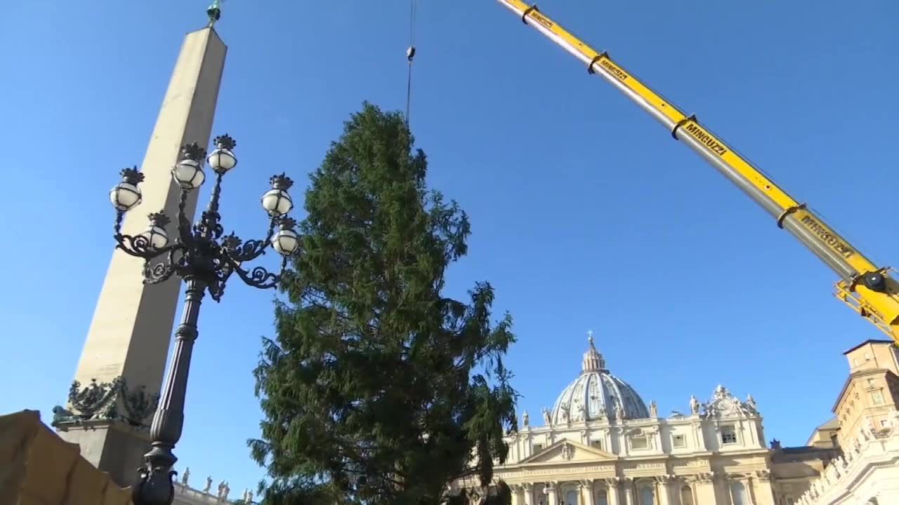 Polski dar dla papieża Franciszka już w Watykanie.