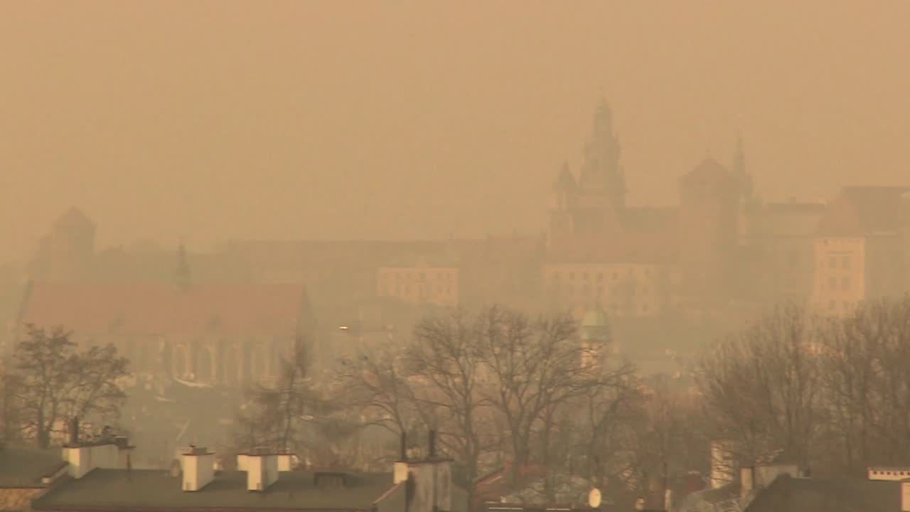 Zanieczyszczone powietrze w polskich miastach. Skąd bierze się smog?