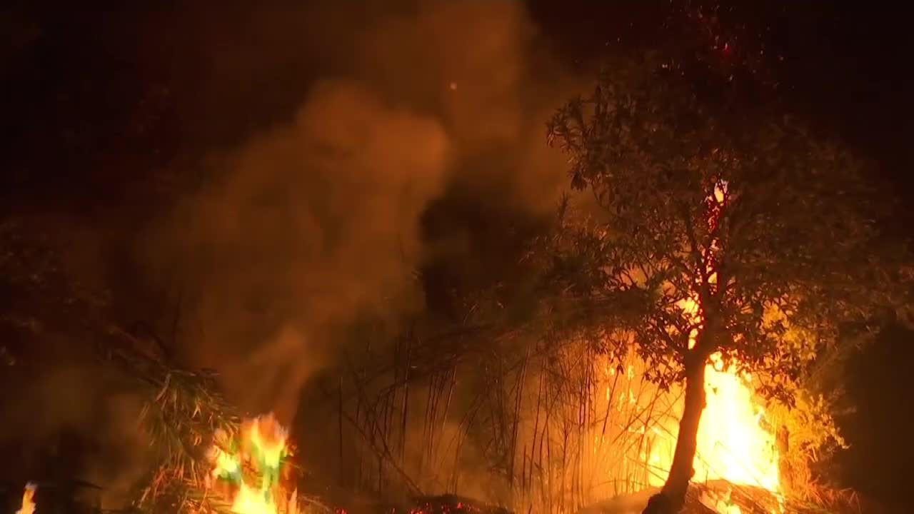 Silny wiatr i wysokie temperatury. Portugalia po raz kolejny walczy z pożarami