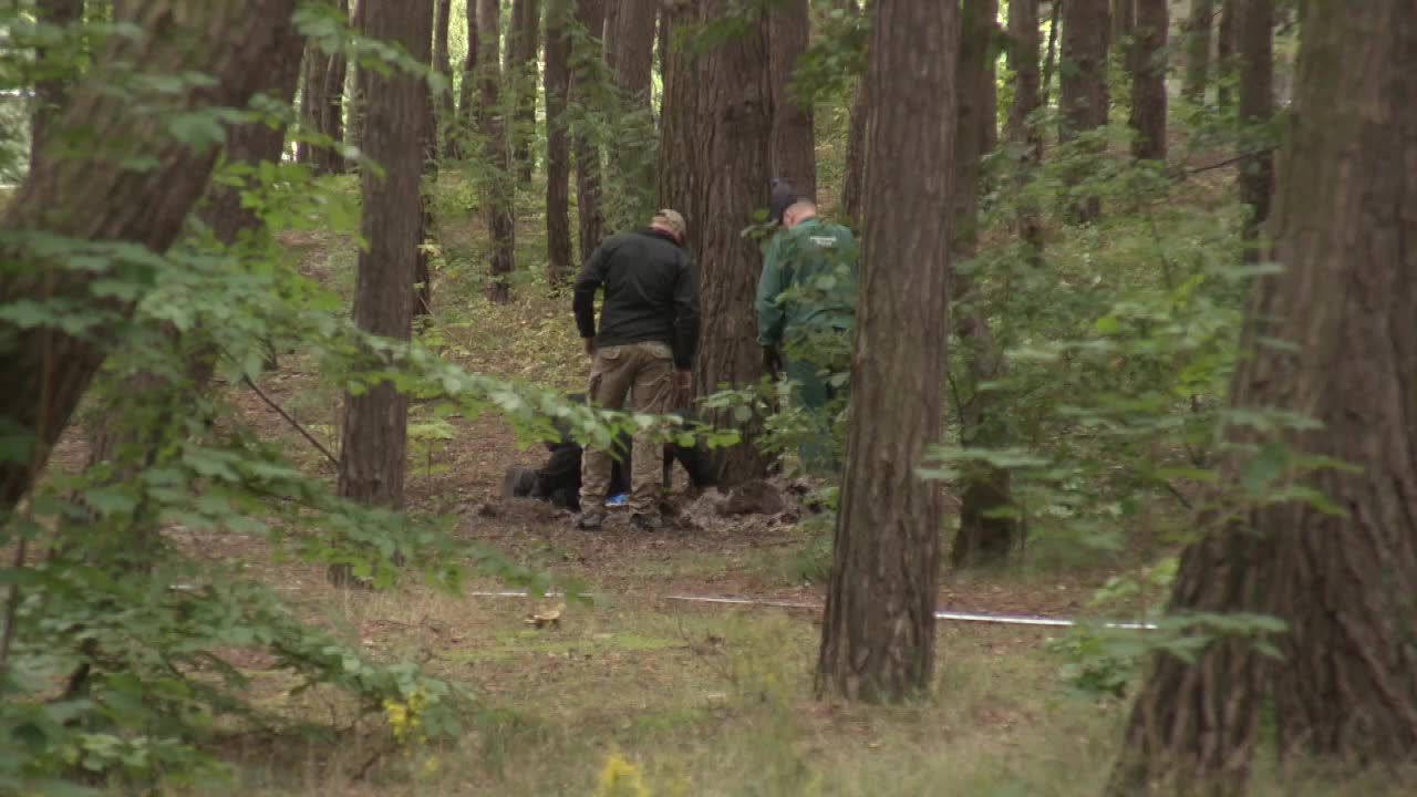 Policja cały czas przeszukuje georadarem Park Reagana w Gdańsku. Szukają śladu po Iwonie Wieczorek