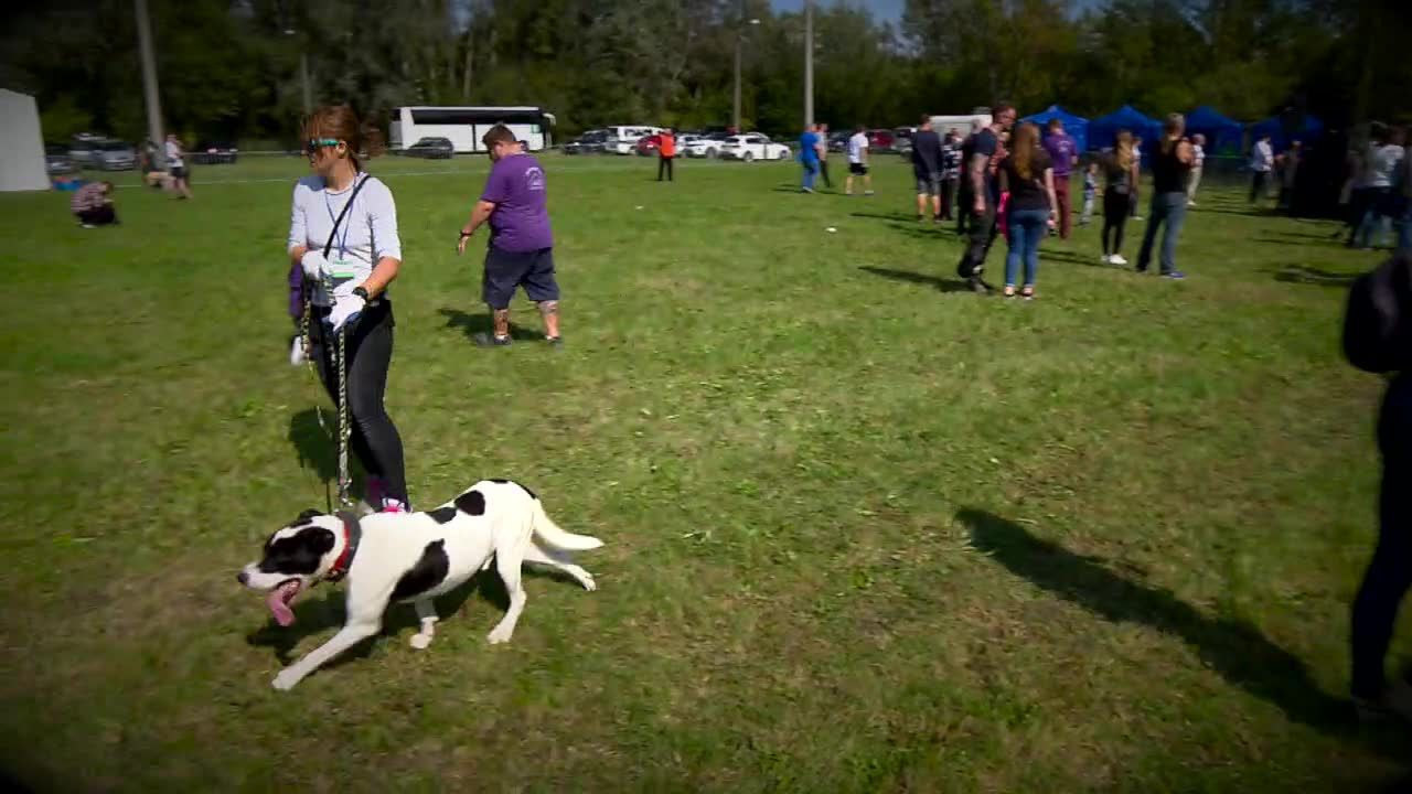 “Podaj łapę człowieku” – warszawskie schronisko zbierało dary i pieniądze na zimę