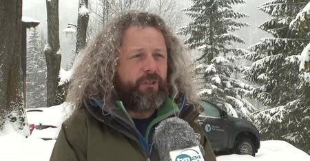 Mały niedźwiadek nie mógł wydostać się z potoku. Uratowali ją pracownicy Tatrzańskiego Parku Narodowego