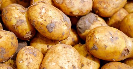 PepsiCo zapowiada wielomilionowe inwestycje w rozwój swoich zakładów w Polsce. Planuje zwiększenie liczby współpracujących gospodarstw rolnych o 30 proc.