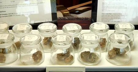Kanada legalizuje marihuanę. Pierwszego dnia otworzy się 100 punktów sprzedaży