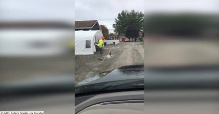 Uratował skunksa z opresji! Głowa zwierzęcia zaklinowała się w plastikowym kubku