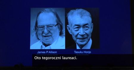Nobel z medycyny 2018 r. za badania, które pozwoliły opracować nowe metody leczenia nowotworów