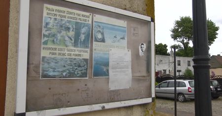 Jedno śledztwo w sprawie pięciu martwych fok. “Mogą mieć z tym związek te same osoby”