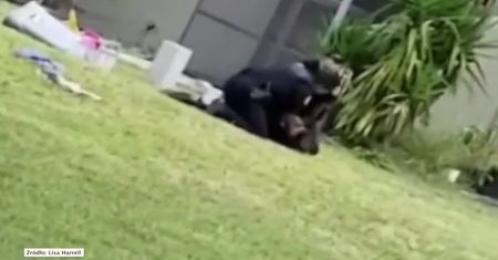 Policjant z Miami kopie bezbronnego