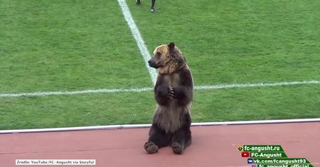 To jest Rosja, tutaj to normalne. Niedźwiedź rozpoczął mecz piłkarski i… zachęcał kibiców do dopingu
