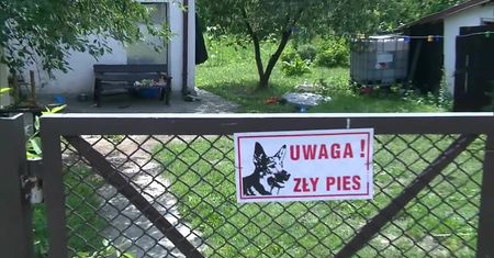 Pies zaatakował dzieci, ojciec usłyszał zarzuty. Mężczyźnie grozi do 5 lat więzienia