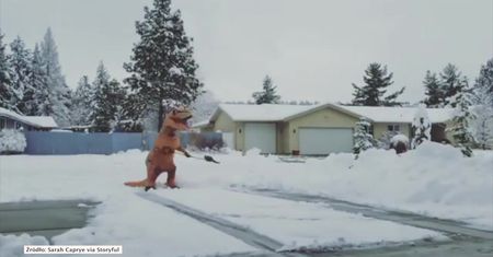 Tyranozaur pożarł mieszkankę Spokane i spokojnie odśnieżał podjazd