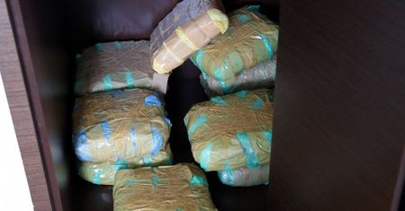 POLICJANCI PRZEJĘLI NARKOTYKI O CZARNORYNKOWEJ WARTOŚCI 3 MLN ZŁOTYCH