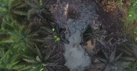 Tysiące litrów ropy zalały kolumbijską dżunglę. Zdjęcia z lotu ptaka ukazują skalę katastrofy ekologicznej