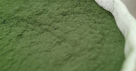 Spirulina – alga o niezwykłych właściwościach. Na czym polega jej fenomen?