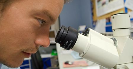 Rząd stawia na rozwój biotechnologii. Na wsparcie tego sektora trafi kilkaset milionów złotych