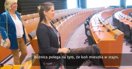 Kucyk przewodnik uczy się pomagać niewidomym. Podczas pierwszego spaceru odwiedził Parlament Europejski w Brukseli