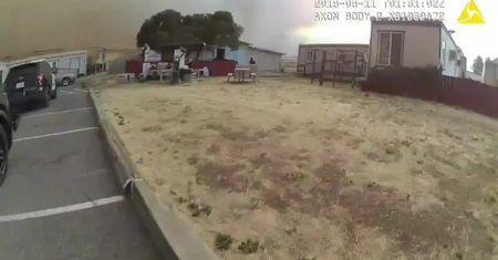 Policjantka ratowała zwierzęta przed ogniem. Ewakuacja ze względu na pożary lasów w Kalifornii