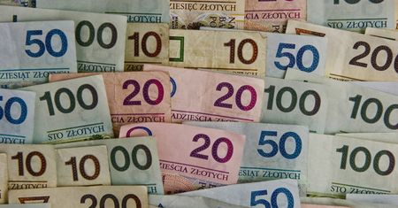 BIG InfoMonitor: zadłużenie branży e-commerce wzrosło do 231 mln zł