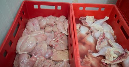 Bułgaria: zakaz sprzedaży kolejnych 21 ton mięsa z Polski