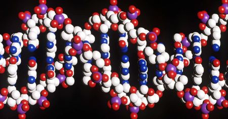 DNA decyduje o zdrowiu w niewielkim stopniu