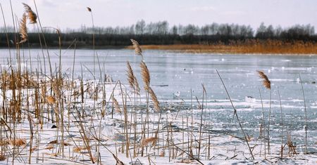 W sobotę śnieg poprószy w większości kraju. W kolejnych dniach więcej słońca