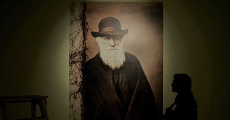 Dzieło Darwina “O powstawaniu gatunków” ma już 160 lat