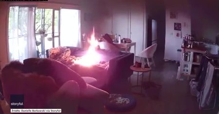 Australijski “hot dog”. Młody buldog bawił się zapalniczką i wzniecił pożar