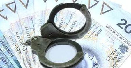WYŁUDZILI NIEMAL 8 MLN ZŁOTYCH DOTACJI