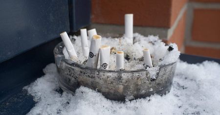 Papierosowe filtry zaśmiecają świat – naukowcy chcą ich zakazu
