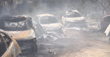 Pożary lasów w Libanie. Służby nie mogą ich opanować