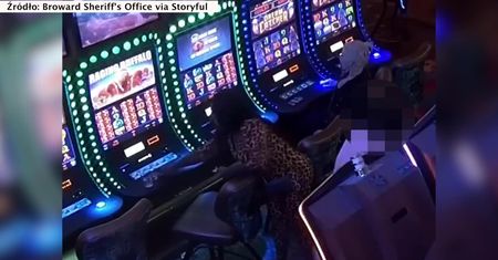 Stracił w kasynie nie tylko pieniądze, ale i przytomność. Pokerzysta obrabowany przez dwie kobiety