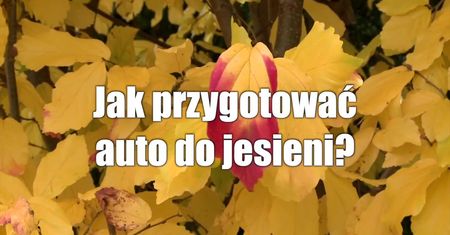 Samochód jesienią. Zobacz jak przygotować auto