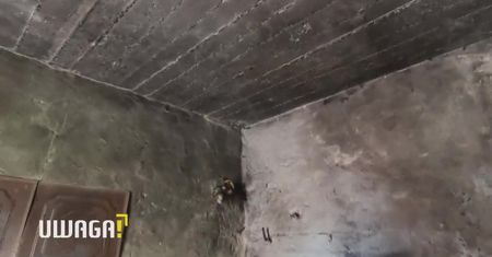 Żyją w brudzie, wśród szczurów i robaków. Kierowniczka MOPS: Takie mamy czasy