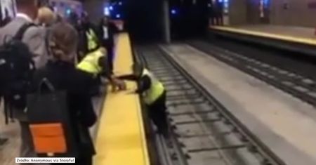 Metro w San Francisco stanęło. Wszystko po to, by uratować szczeniaka