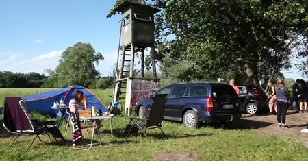 Obrońcy praw zwierząt pilnują stada krów z Deszczna