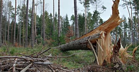 Ponad 400 interwencji strażaków po burzach w zachodniopomorskim